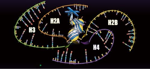 聚焦蛋白質(zhì)組學技術開發(fā)與應用，景杰生物完成5.3億元B輪融資以加速技術推廣