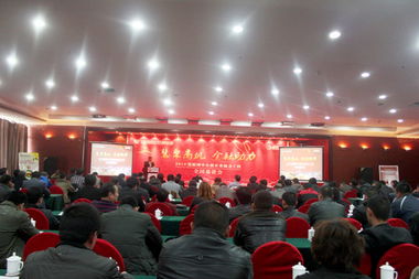 山東鼎基信息技術 專業驅動，助力臨沂企業網站建設與全網運營